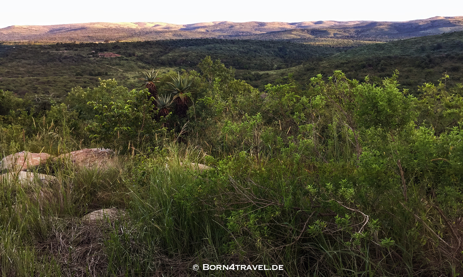 Rhino Ridge Safari Lodge,KwaZulu-Natal,Südafrika,born4travel.de