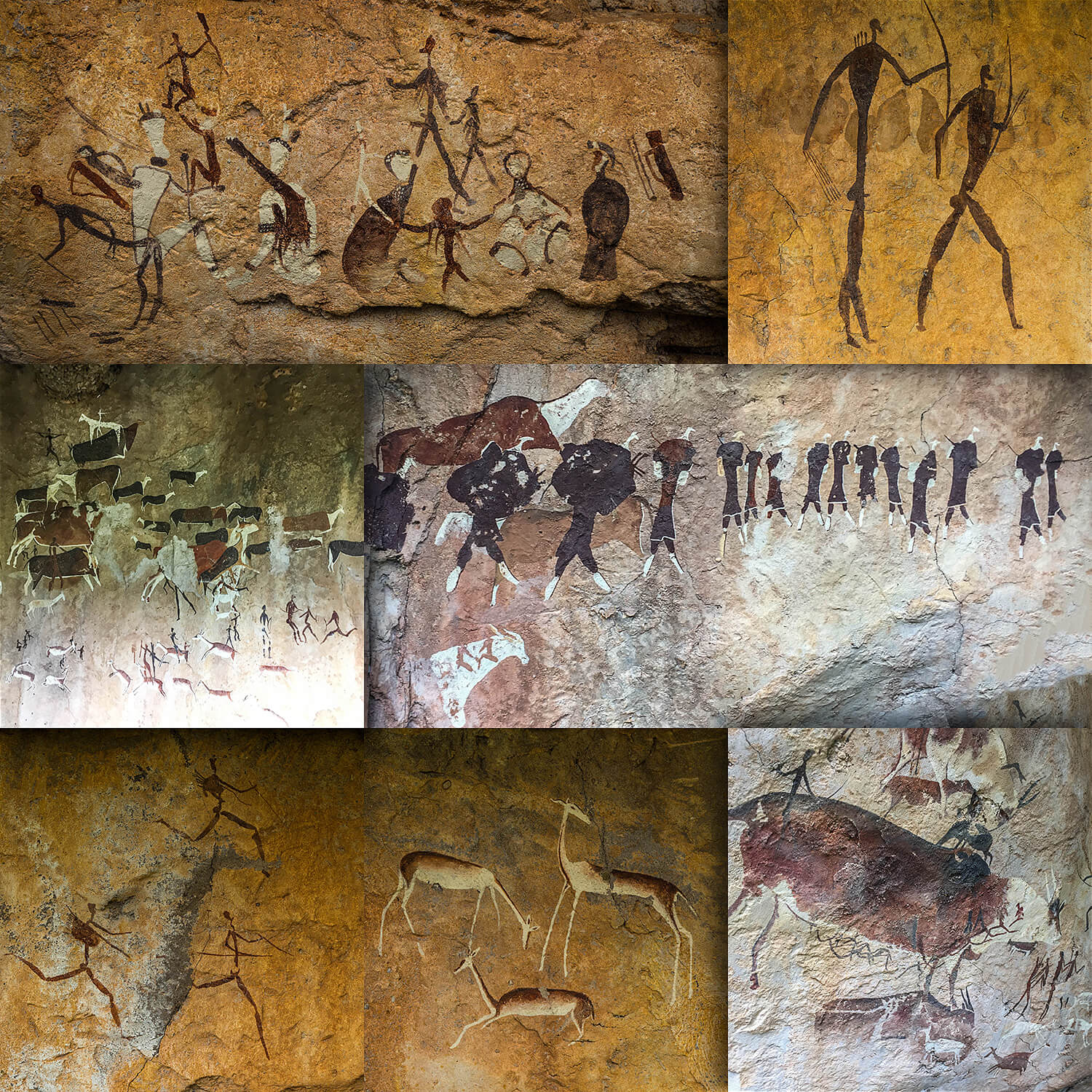 Dididma Camp,Kwazulu Natal, Drakensberge,Südafrika,born4travel.de Dididma Camp,Kwazulu Natal, Drakensberge,Südafrika,born4travel.de