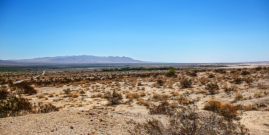 Coachella Valley Preserve, California, USA