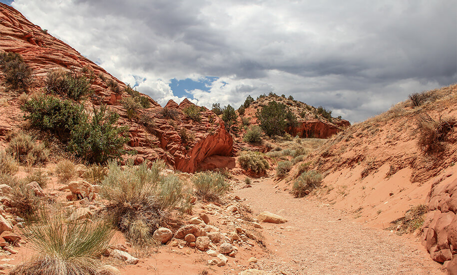 Wire Pass, Buckskin Gulch, Utah