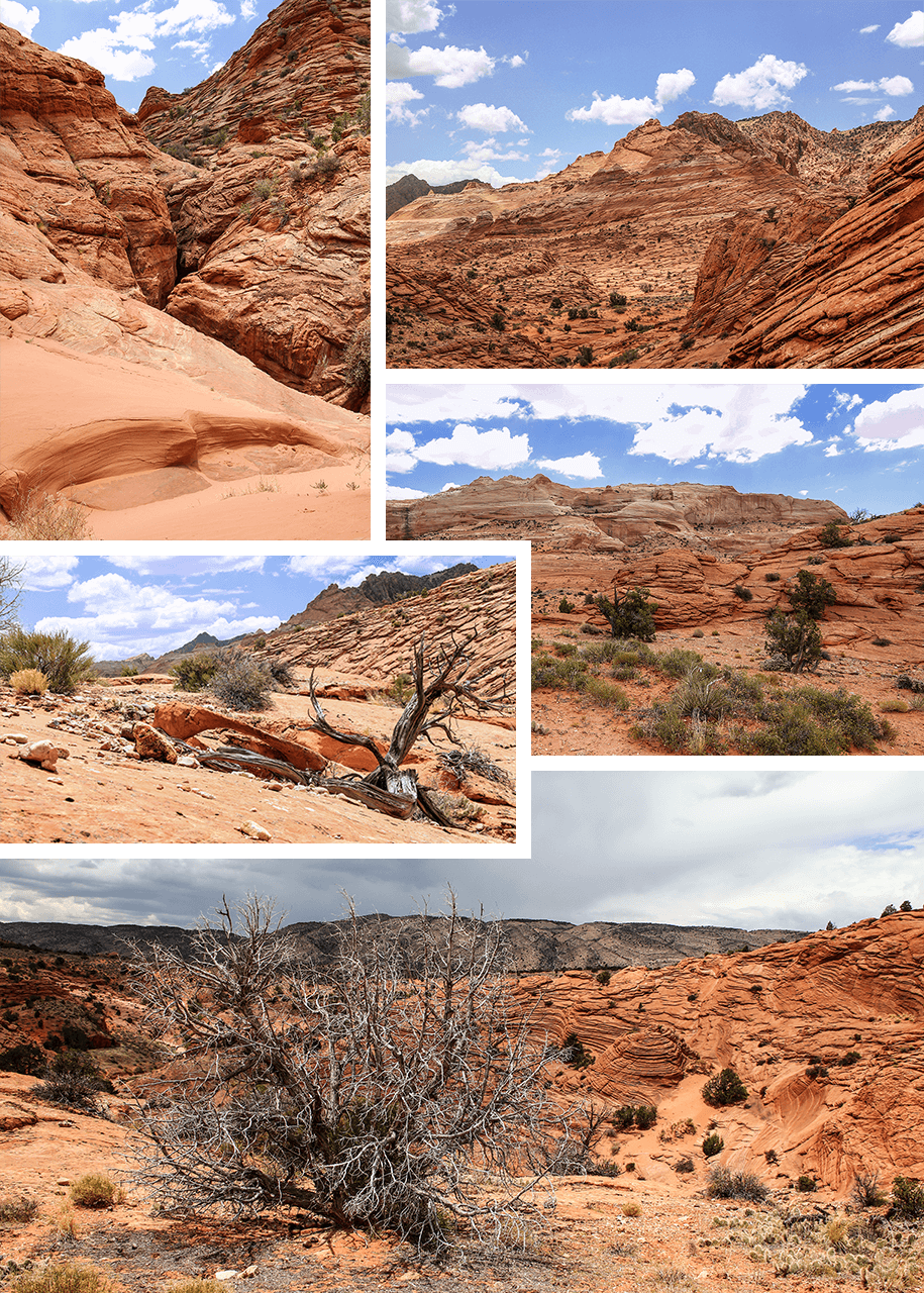 Wire Pass, Buckskin Gulch, Utah