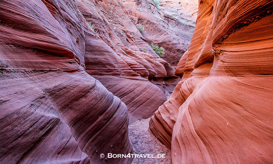 Waterhole Canyon,Arizona,USA