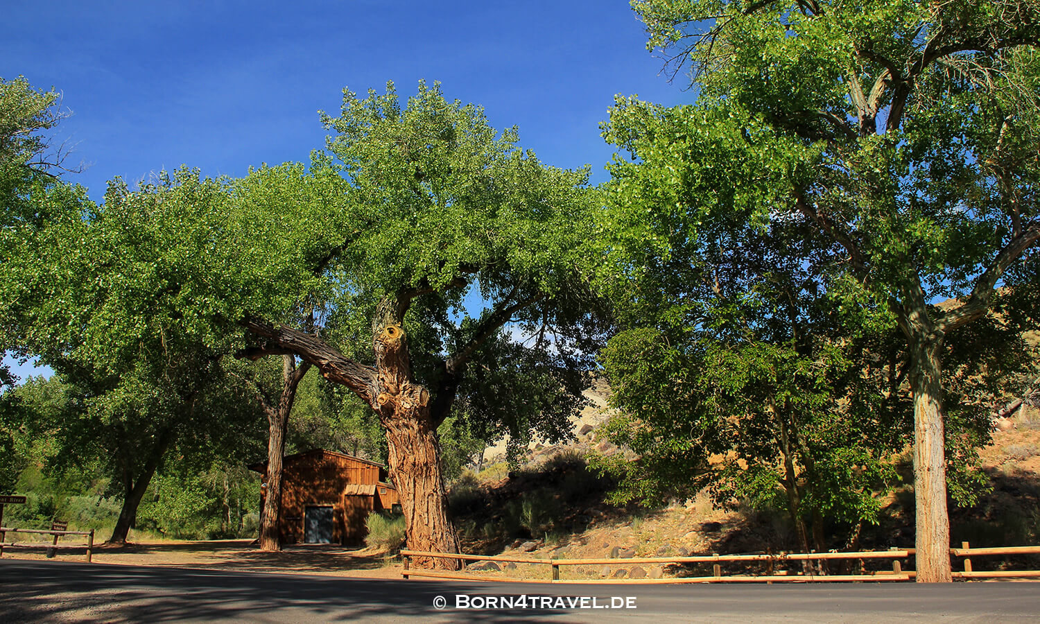 Cohab Canyon Trail,Capital Reef Resort,Utah,USA,born4travel.de