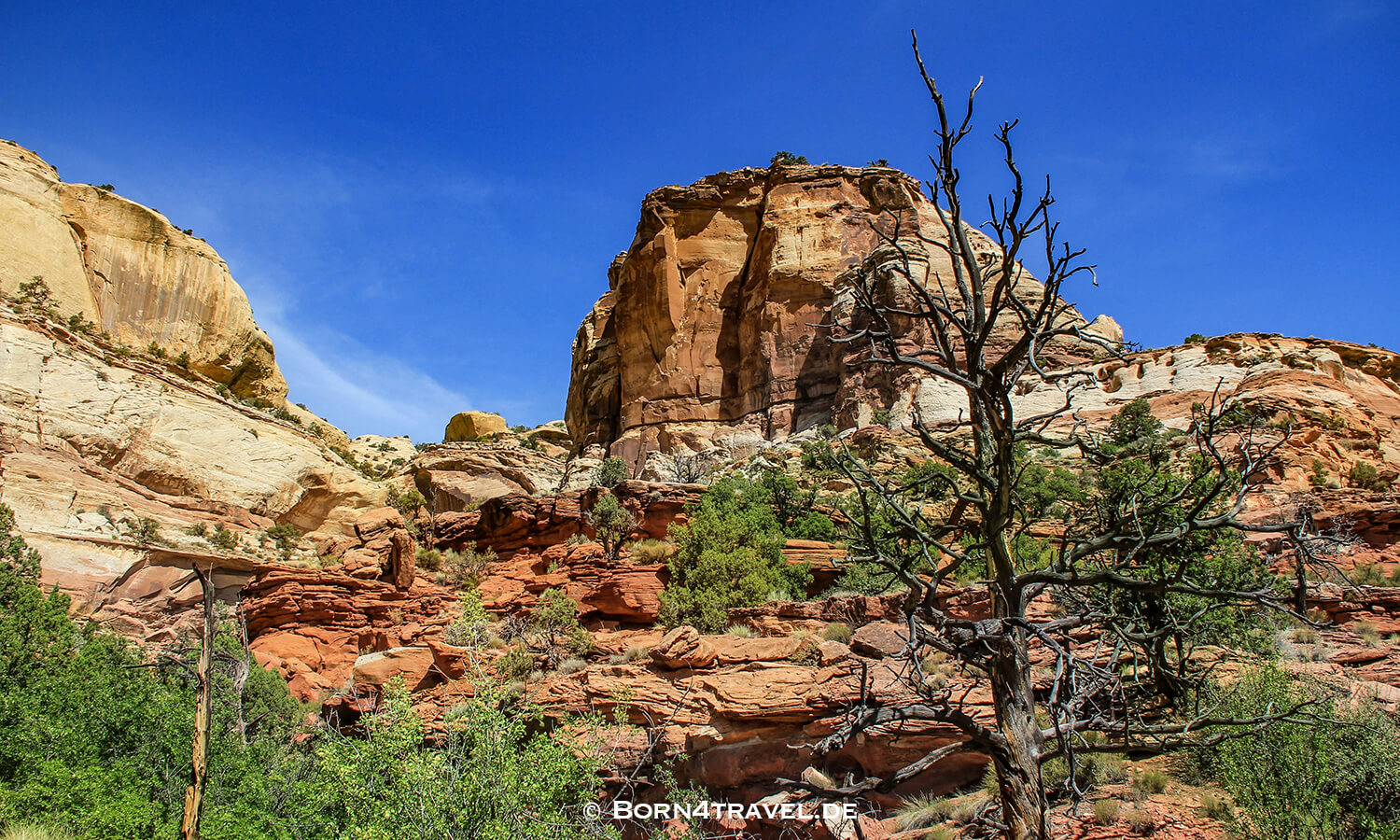 Calf Creek Trail,Utah,USA,born4travel.de