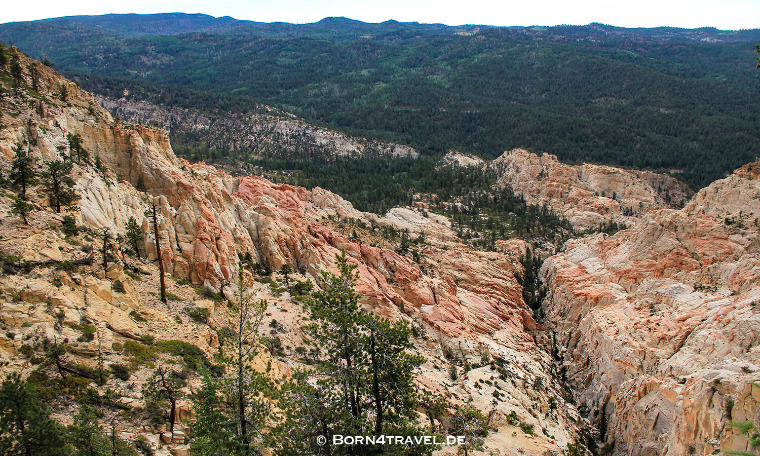 Dixie National Forest,Hell's Backbone,Utah,USA,born4travel.de