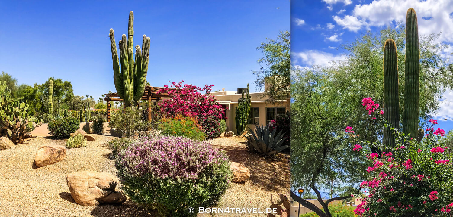 Dobbins Lookout,Scottsdale,Arizona,Southwest,USA,born4travel.de