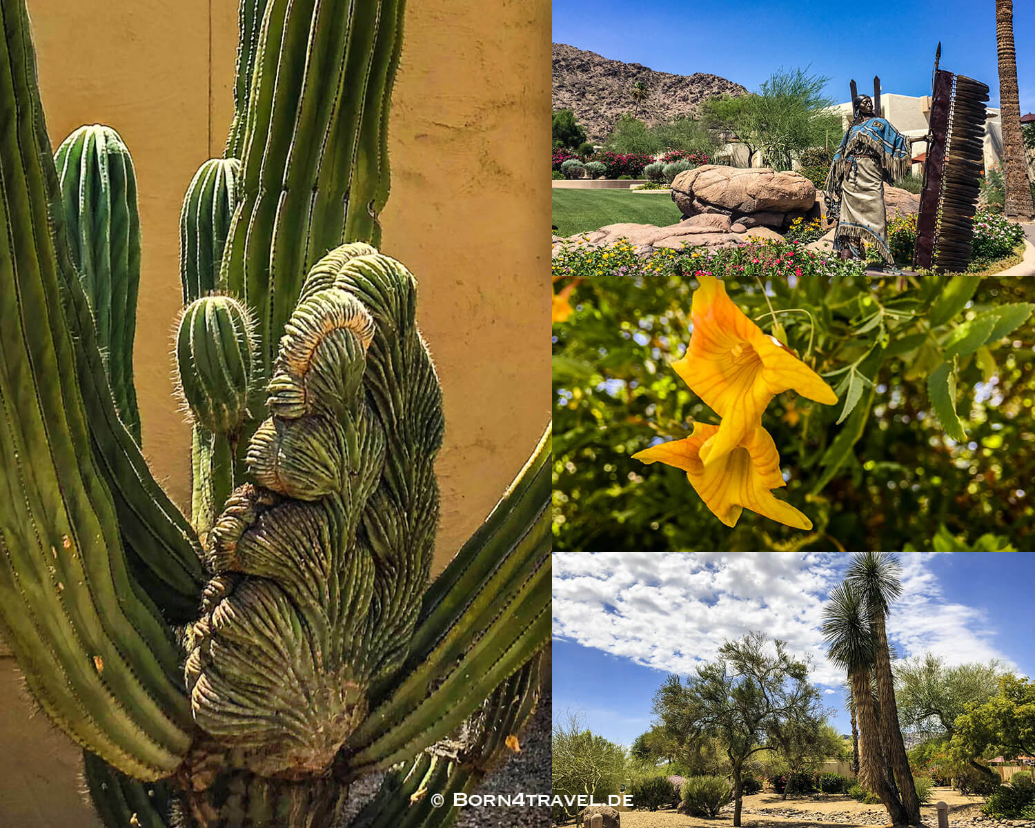 Dobbins Lookout,Scottsdale,Arizona,Southwest,USA,born4travel.de