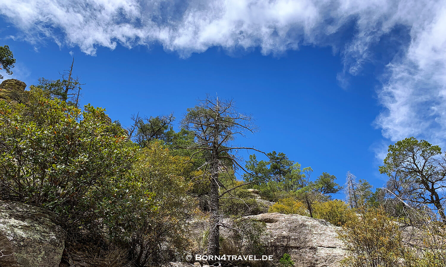 Echo Canyon Trail im Chiricahua National Monument,Arizona,USA,born4travel.de