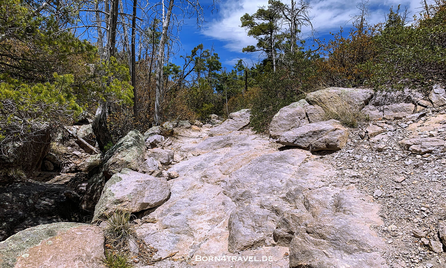 Echo Canyon Trail im Chiricahua National Monument,Arizona,USA,born4travel.de
