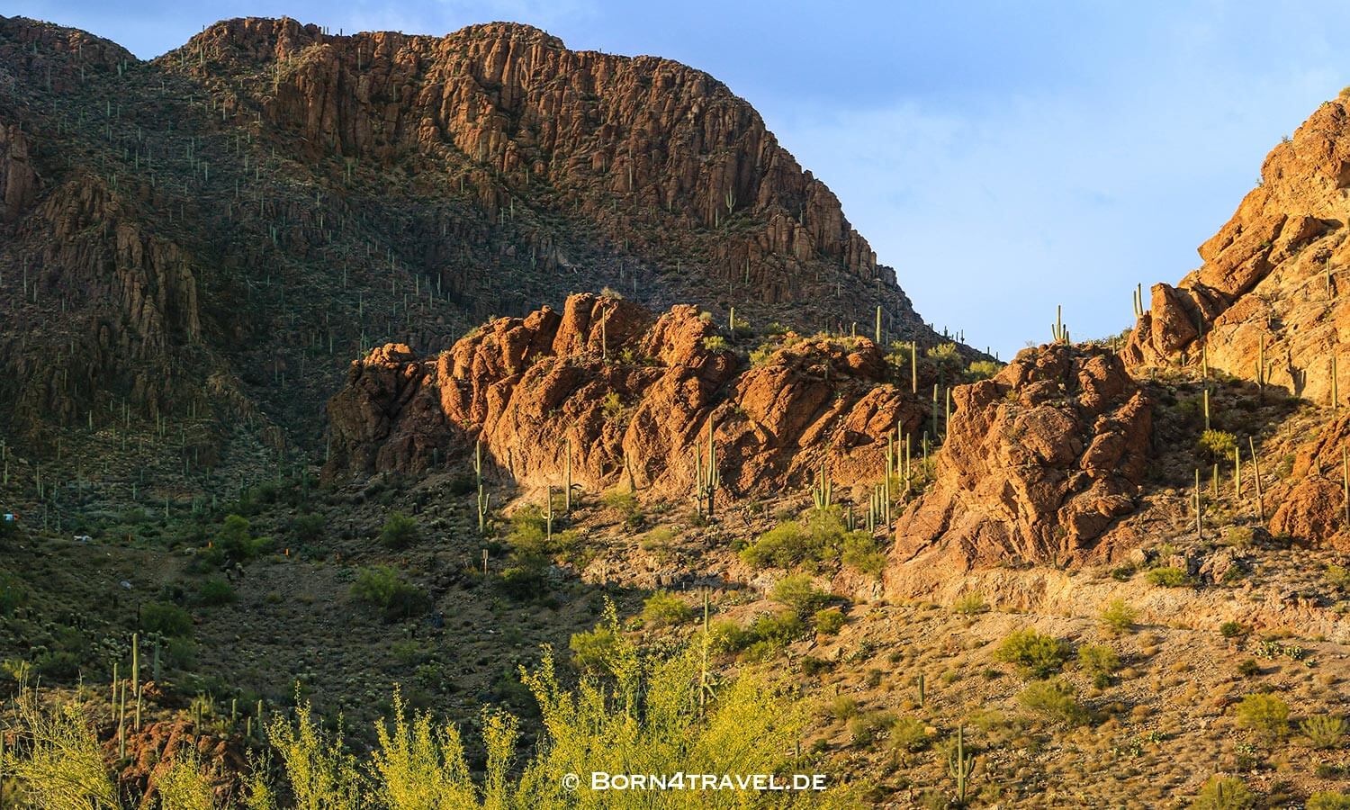 Sunset in Saguaro NP, Tucson,Arizona,USA,born4travel.de