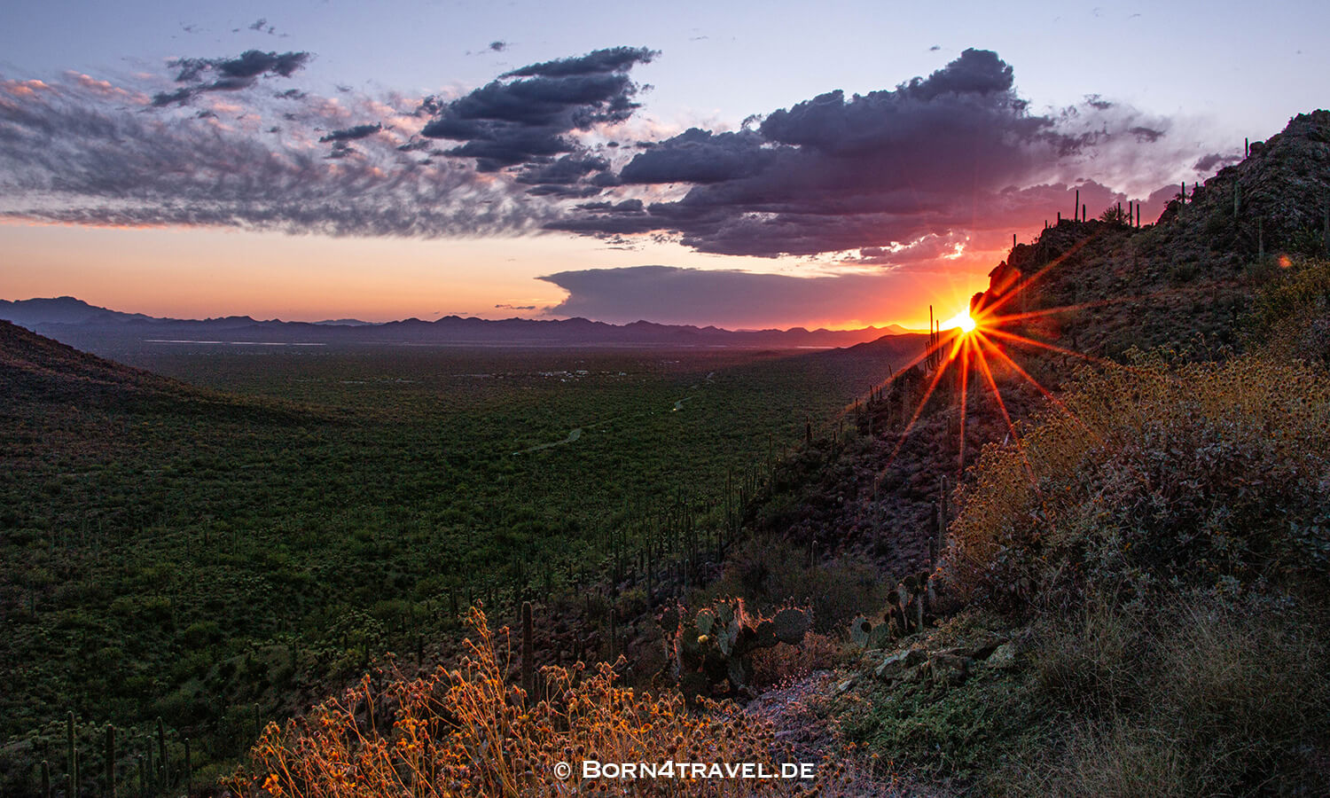 Sunset in Saguaro NP, Tucson,Arizona,USA,born4travel.de