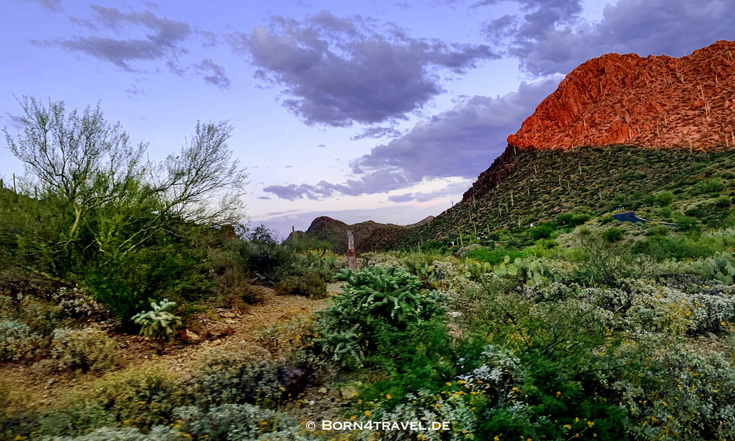 Sunset in Saguaro NP, Tucson,Arizona,USA,born4travel.de