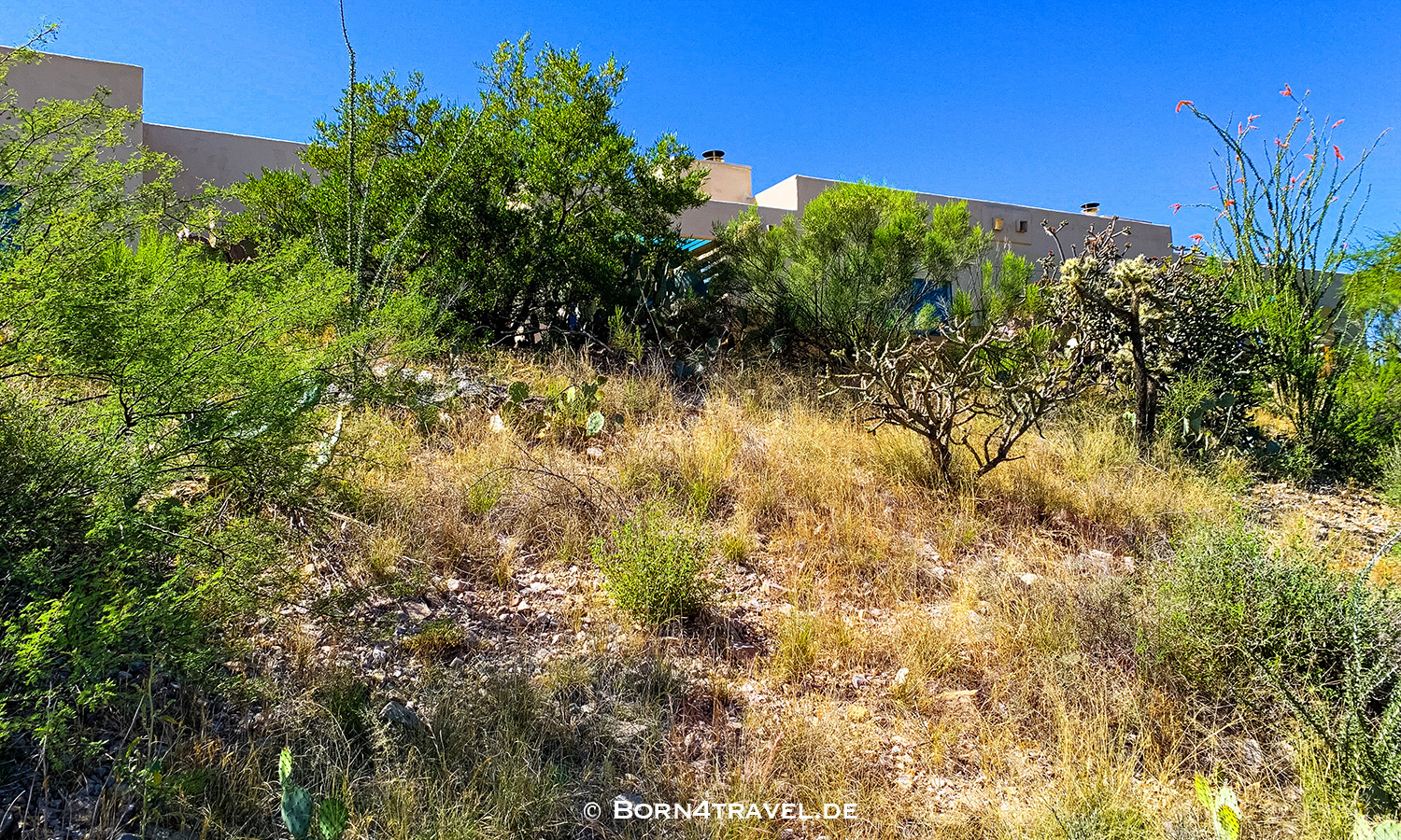 Starr Pass Suites in Tucson,Arizona,USA,born4travel.de