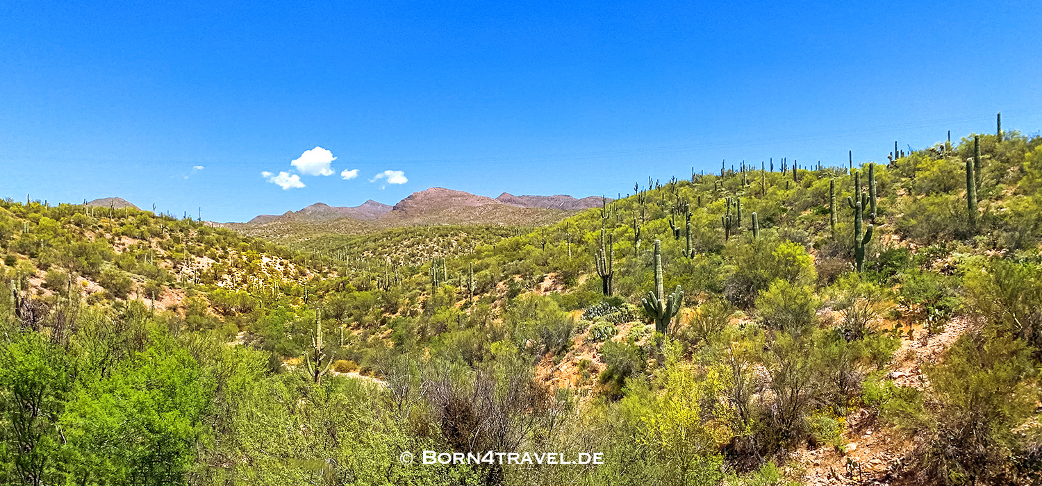 Auf der AZ-77 bei Kearny,Arizona,USA,born4travel.de