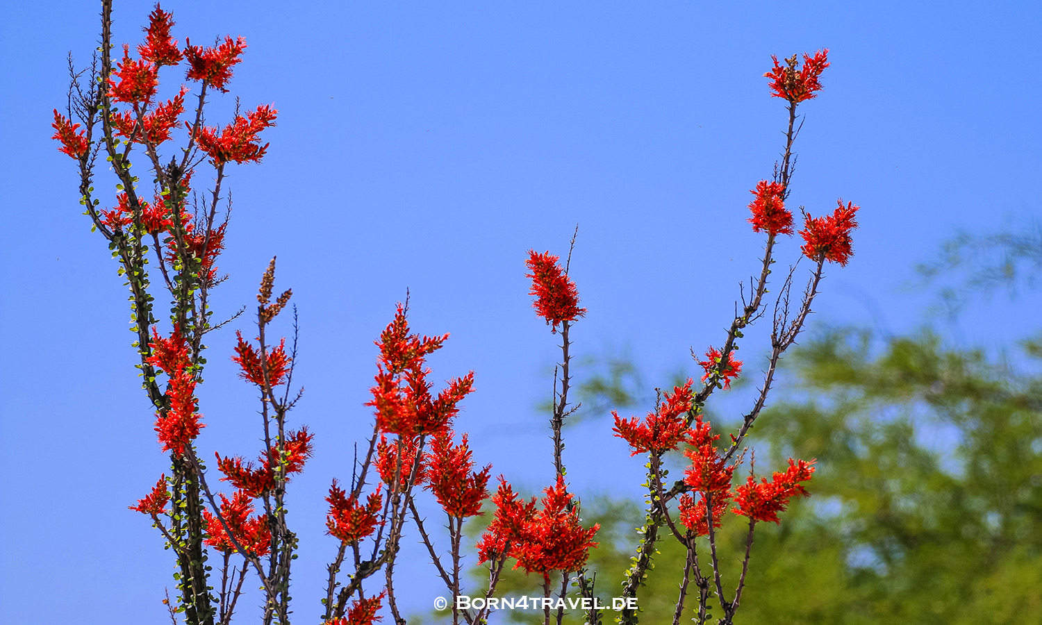 Starr Pass Suites in Tucson,Arizona,USA,born4travel.de