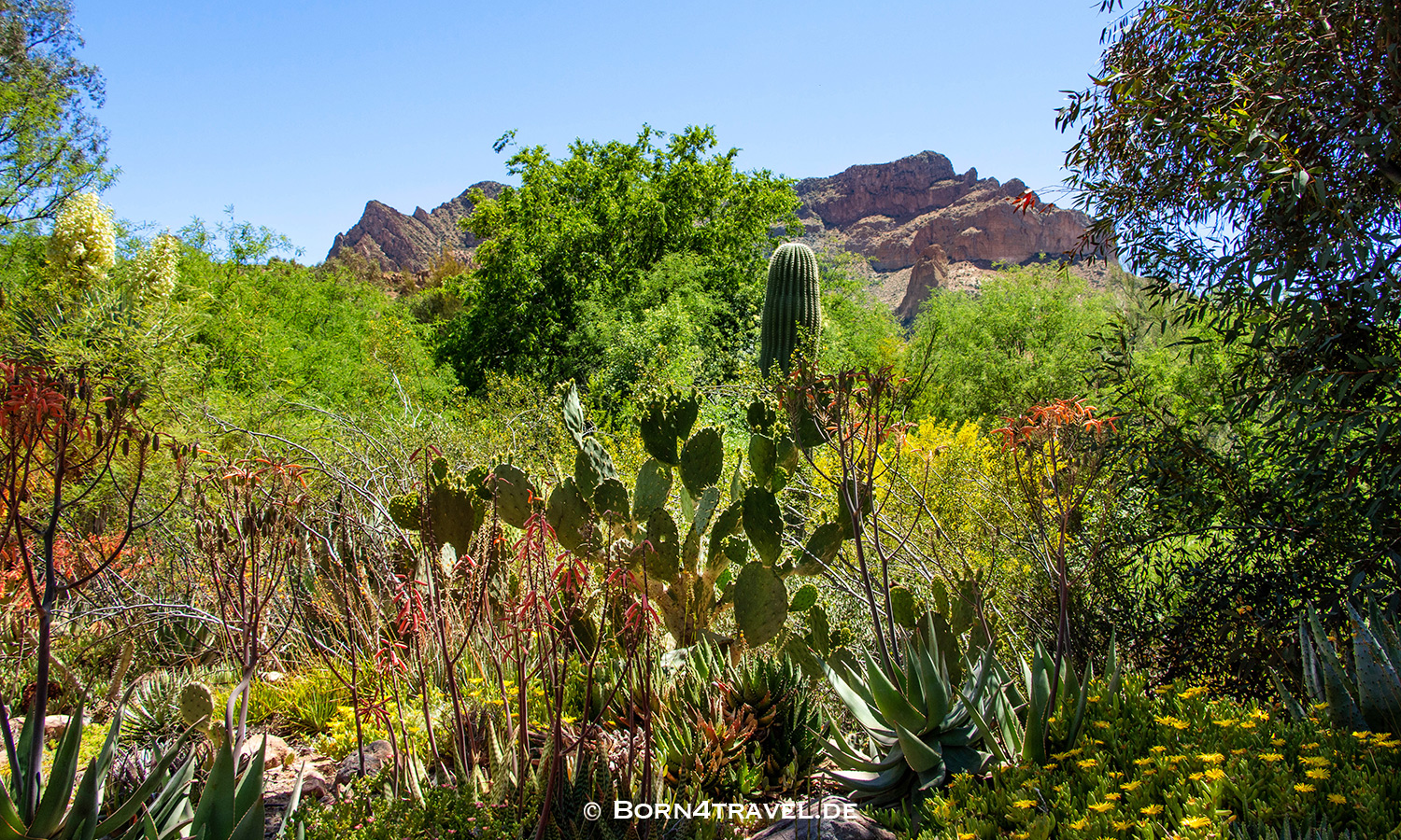 Ayer Lake im Boyce Thompson Arboretum near Superior,Arizona,USA,born4travel.de