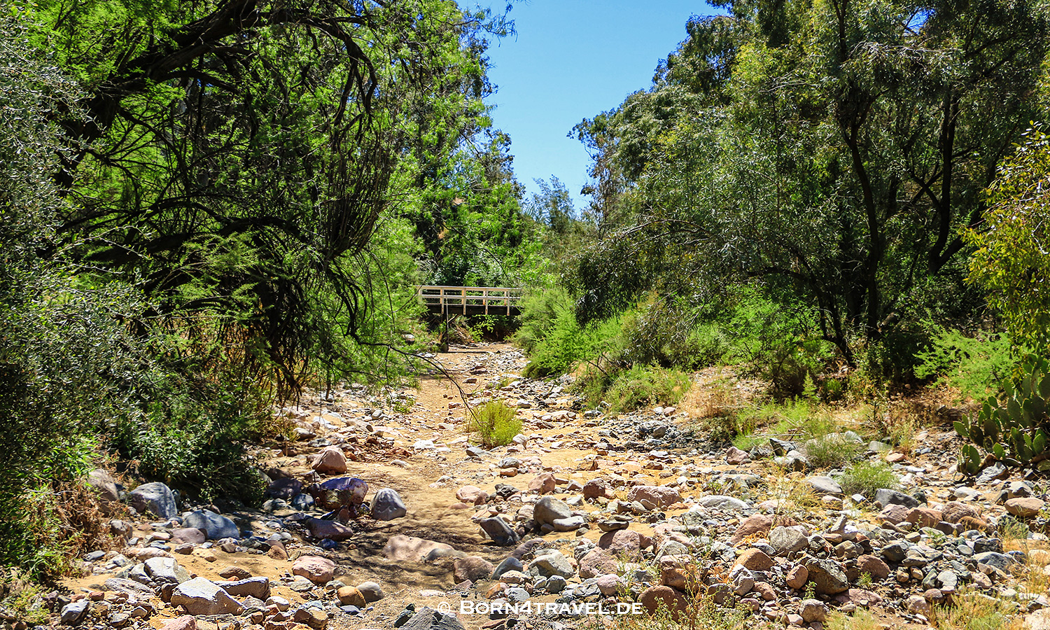 Boyce Thompson Arboretum near Superior,Arizona,USA,born4travel.de