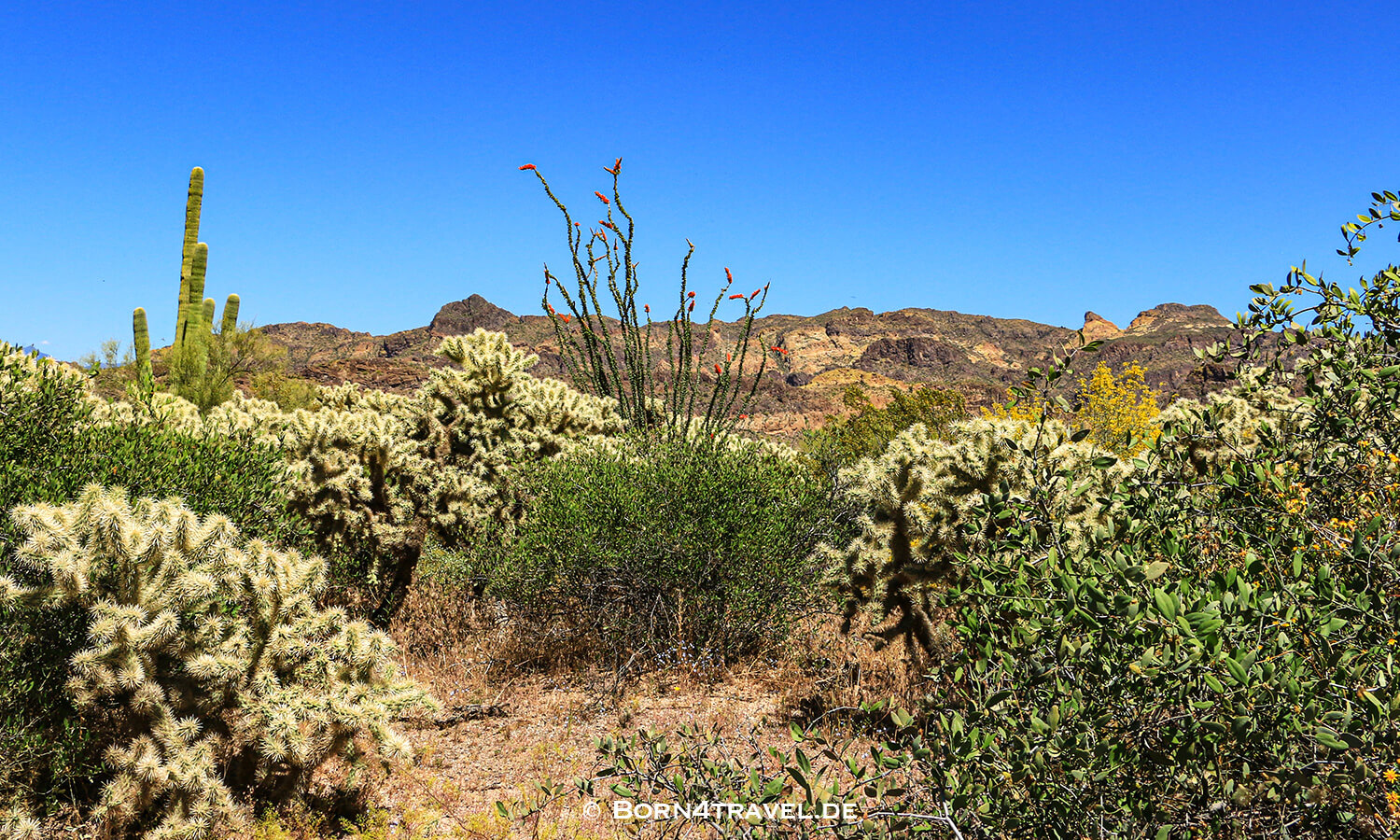 F3554 4x4 offroad Bulldog Canyon in Superstitch Mountain,Arizona,USA,born4travel.de