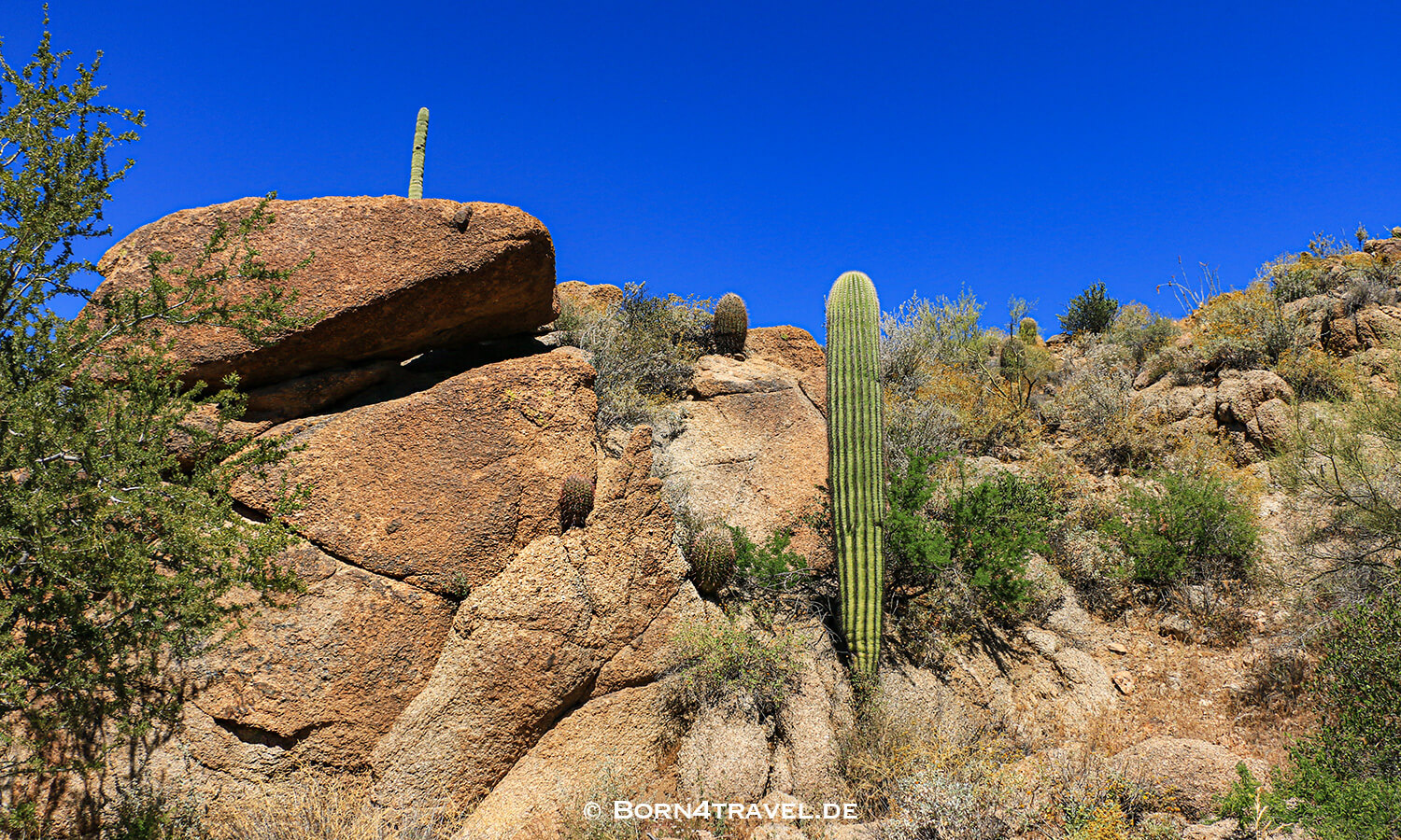 FR10 im Bulldog Canyon in Superstitch Mountain,Arizona,USA,born4travel.de