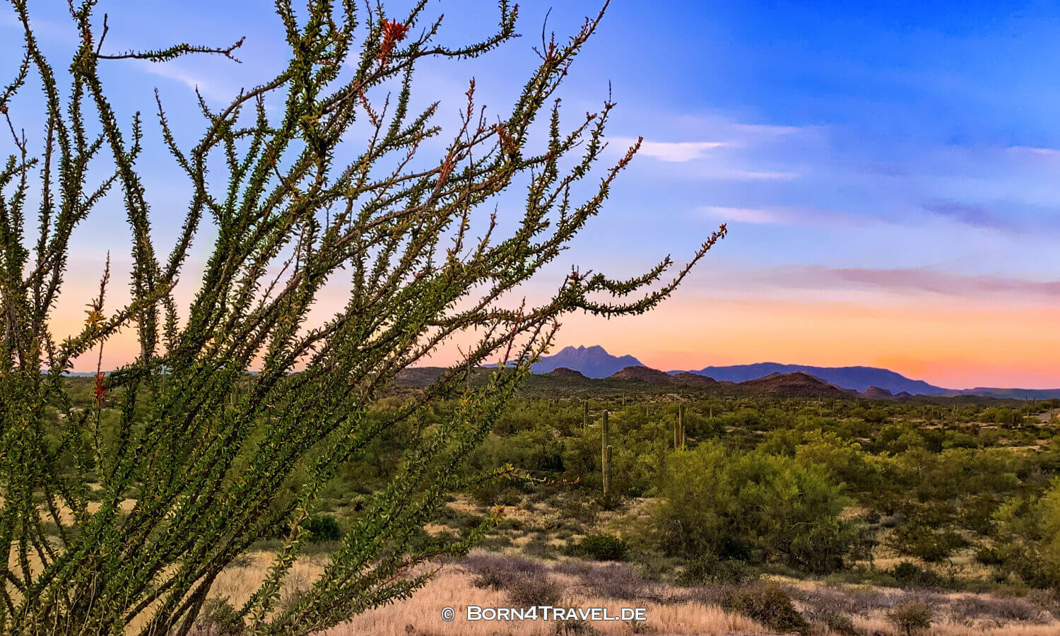 Superstition mountains,arizona near phoenix,usa,born4travel.de