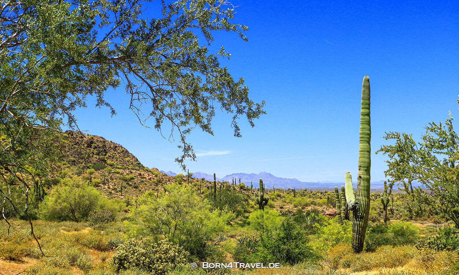 4x4wd drive in bulldog canyon in arizona near phoenix,usa,born4travel.de