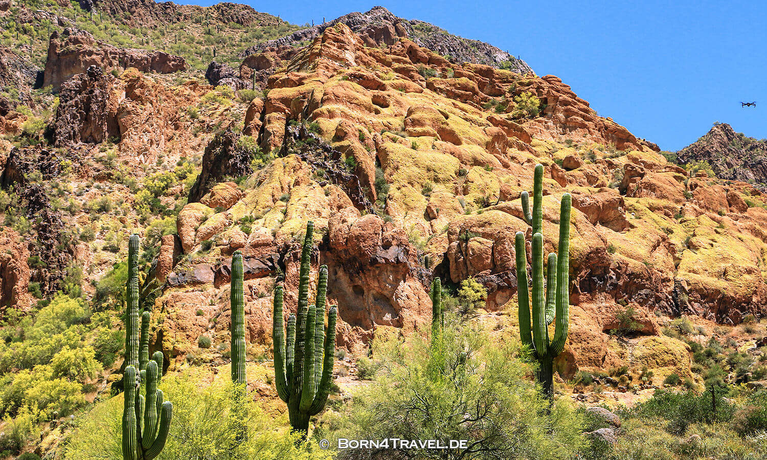 4x4wd drive in bulldog canyon in arizona near phoenix,usa,born4travel.de