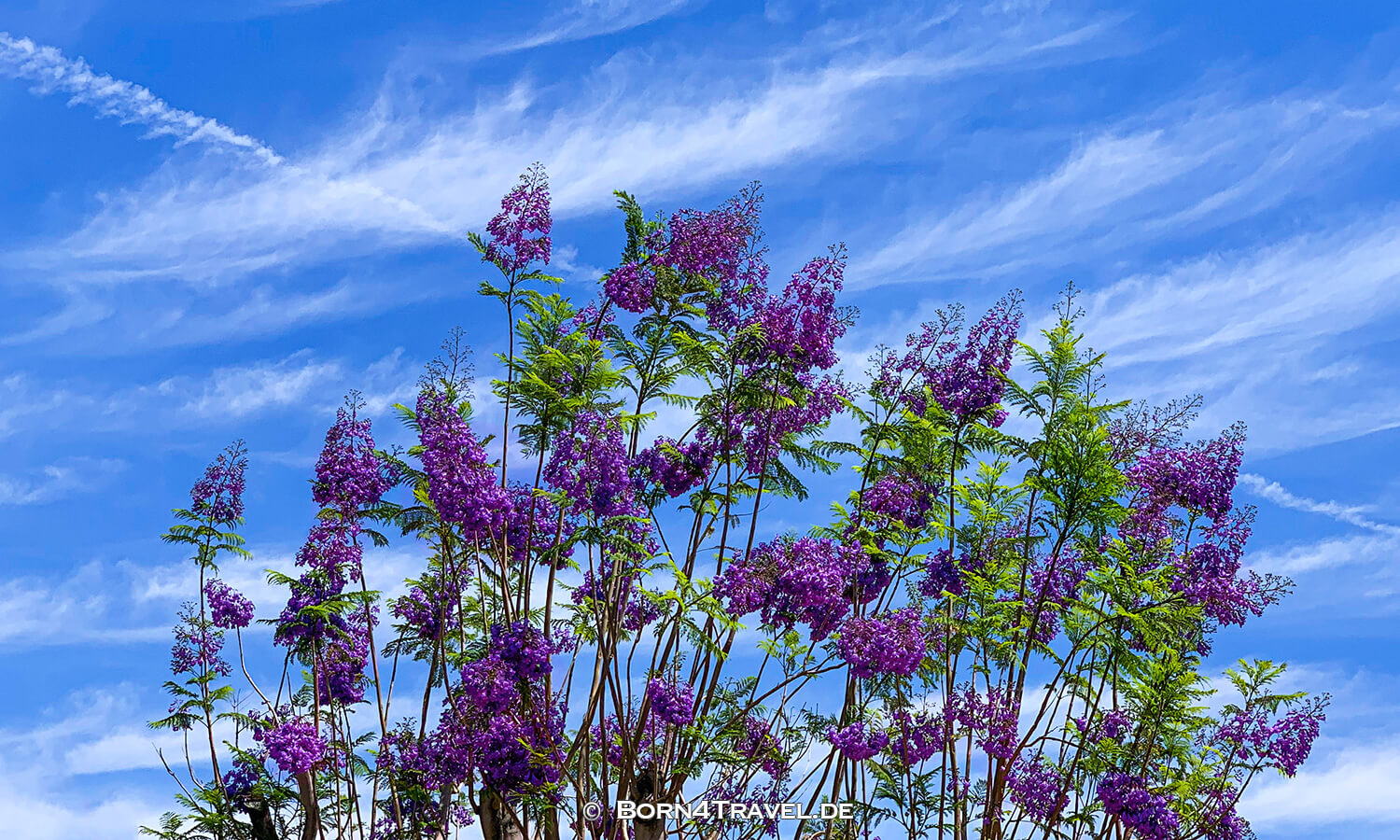 Palms to Pines Highway,Banning-Idyllwild Panoramic Highway,Coachella Valley,California,USA,born4travel.de