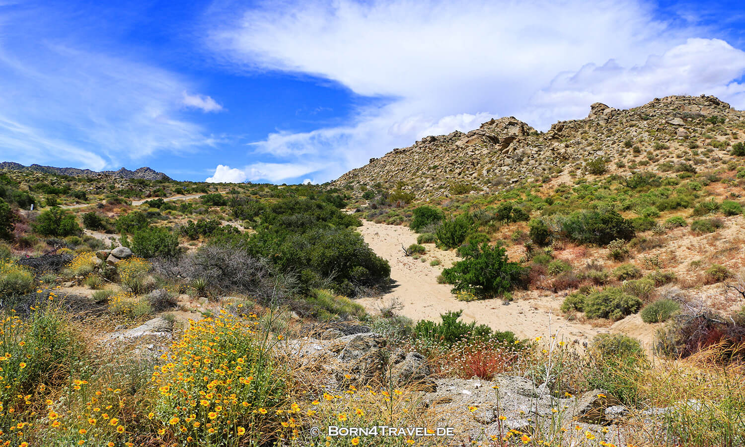 Palms to Pines Highway,Banning-Idyllwild Panoramic Highway,Coachella Valley,California,USA,born4travel.de