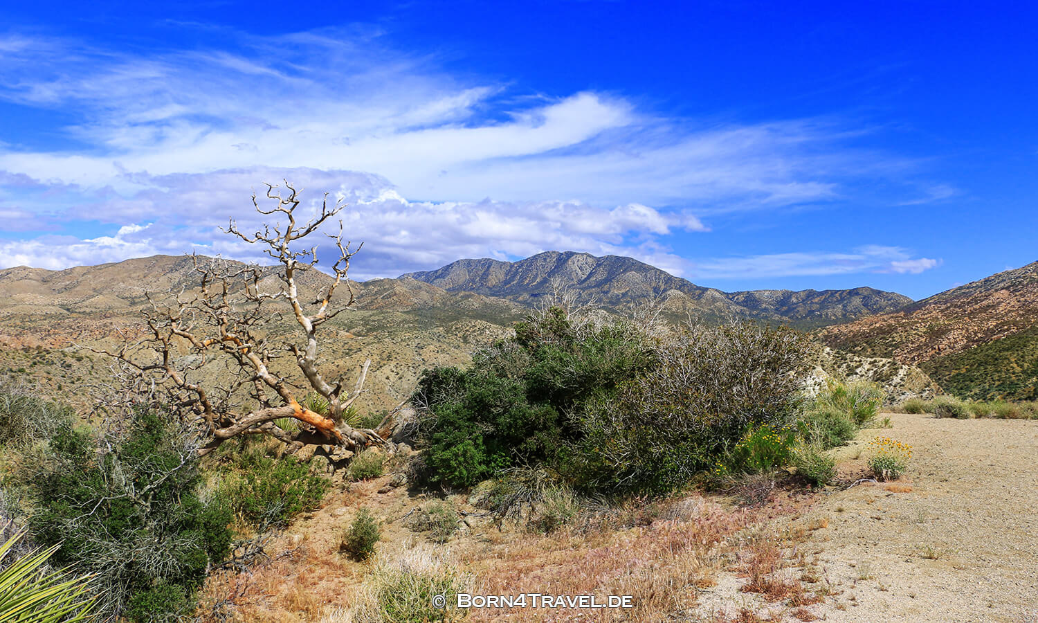 Palms to Pines Highway,Banning-Idyllwild Panoramic Highway,Coachella Valley,California,USA,born4travel.de