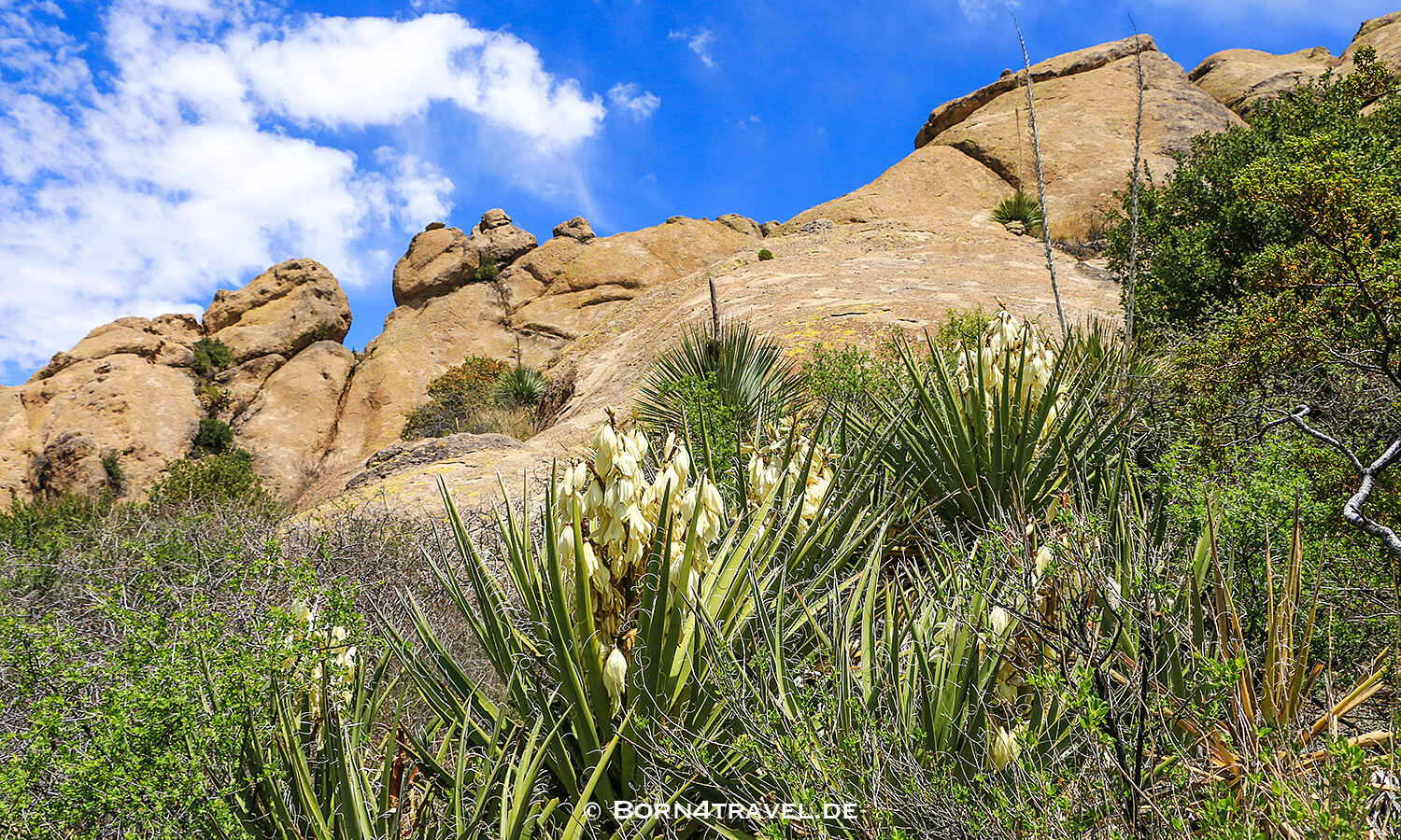La Cueva Trail Organ Mountain Desert Peaks NM near Las Cruces,New Mexico,USA,born4travel.de