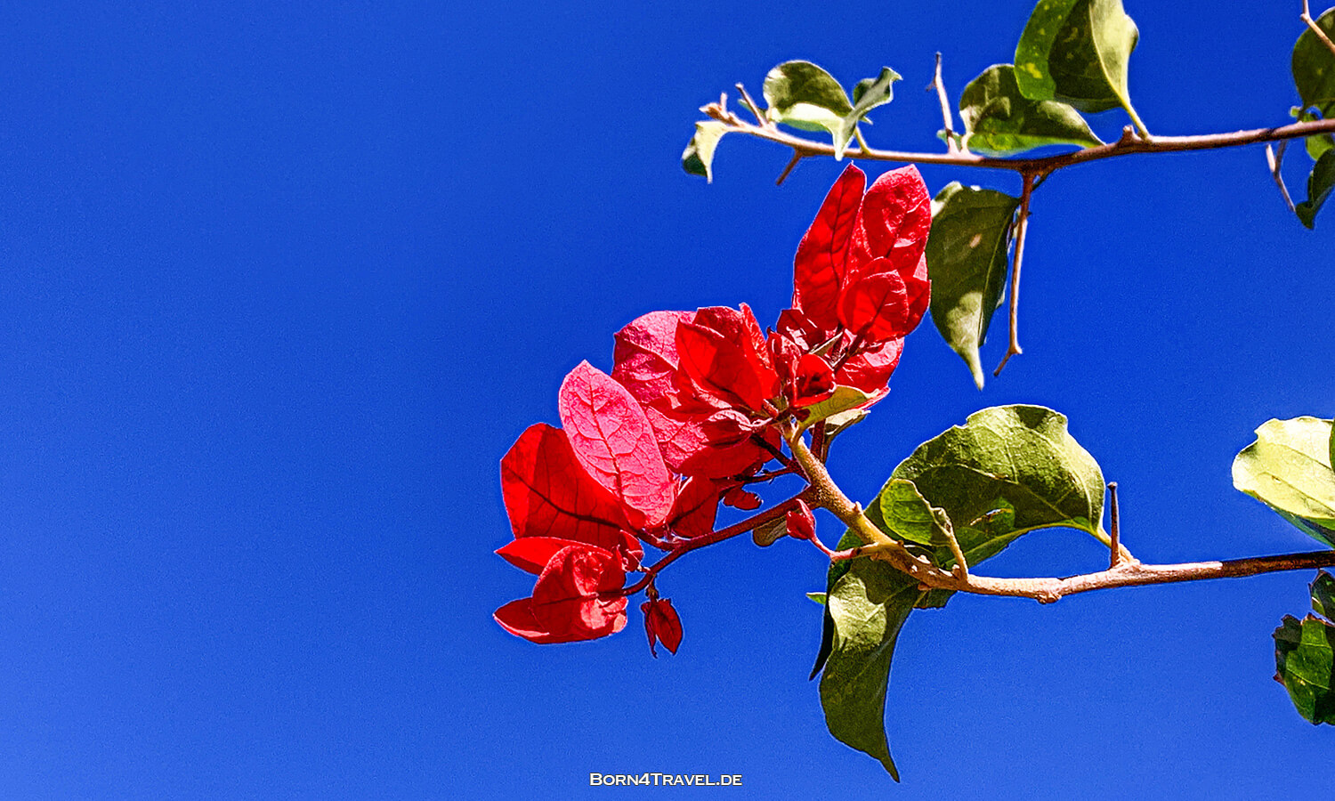 Mission San Juan Capistrano,OC,California,born4travel.de