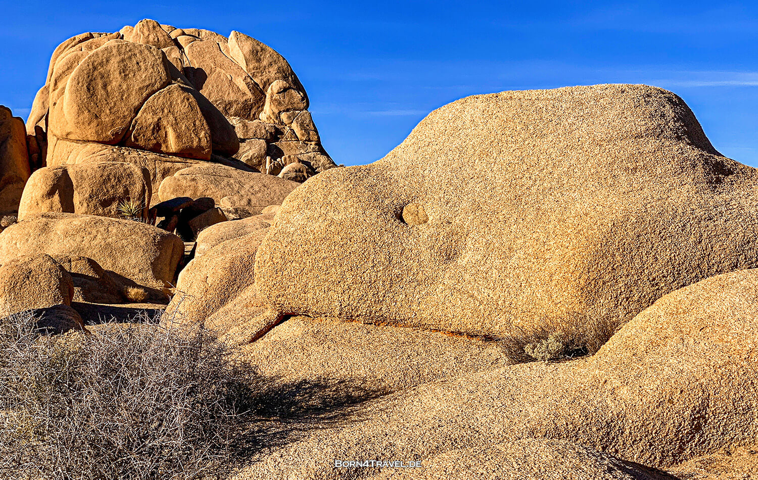 Joshua Tree National Park,California,USA 2022,born4travel.de