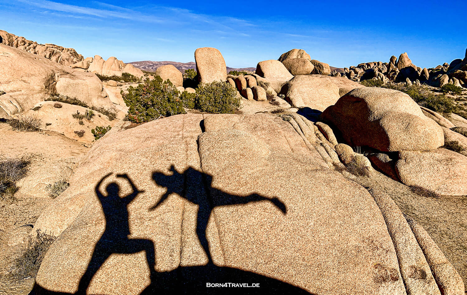 Joshua Tree National Park,California,USA 2022,born4travel.de