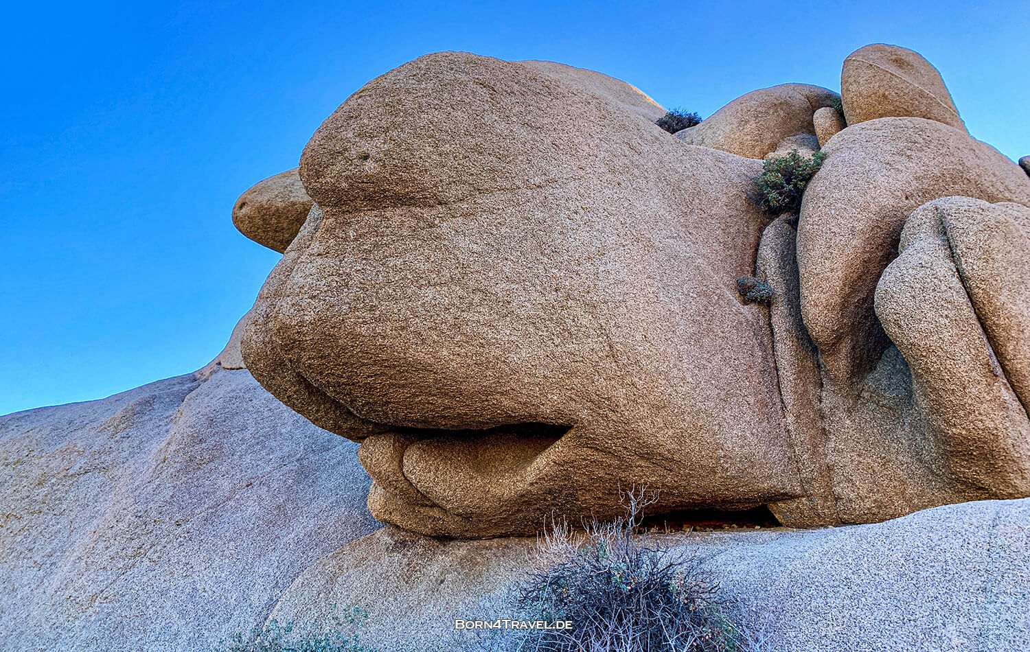 Joshua Tree National Park,California,USA 2022,born4travel.de