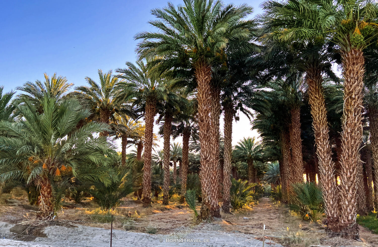 La Quinta,Reisebericht 2022 Southern California,born4travel.de La Quinta,Reisebericht 2022 Southern California,born4travel.de