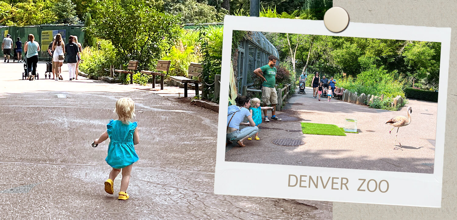 Denver Zoo,Colorado 2022,born4travel.de
