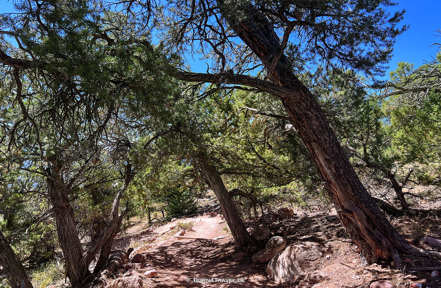 Harpers Corner Trail,Dinosaur NM,Colorado 2022,born4travel.de Harpers Corner Trail,Dinosaur NM,Colorado 2022,born4travel.de