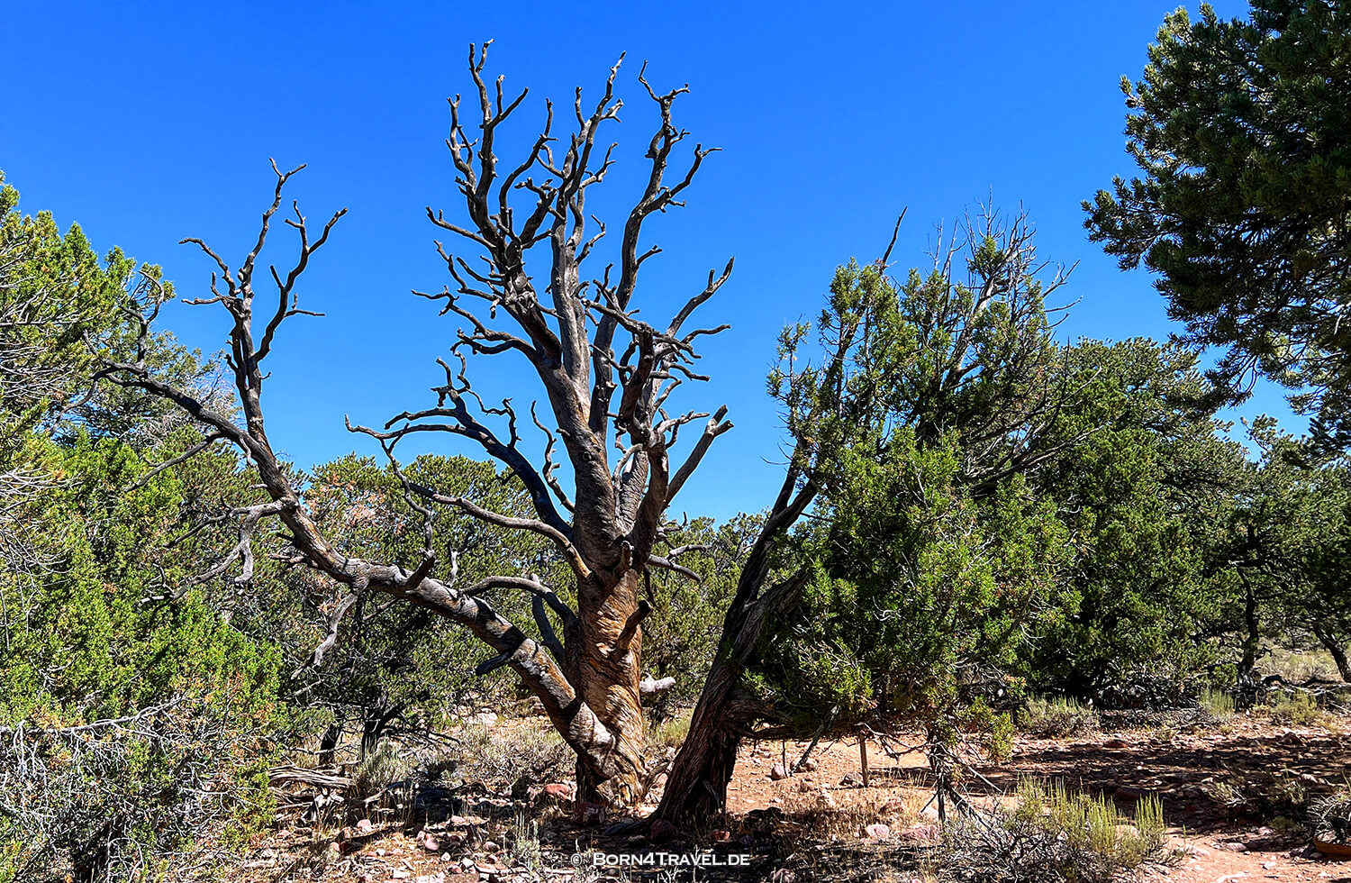 Harpers Corner Trail,Dinosaur NM,Colorado 2022,born4travel.de Harpers Corner Trail,Dinosaur NM,Colorado 2022,born4travel.de