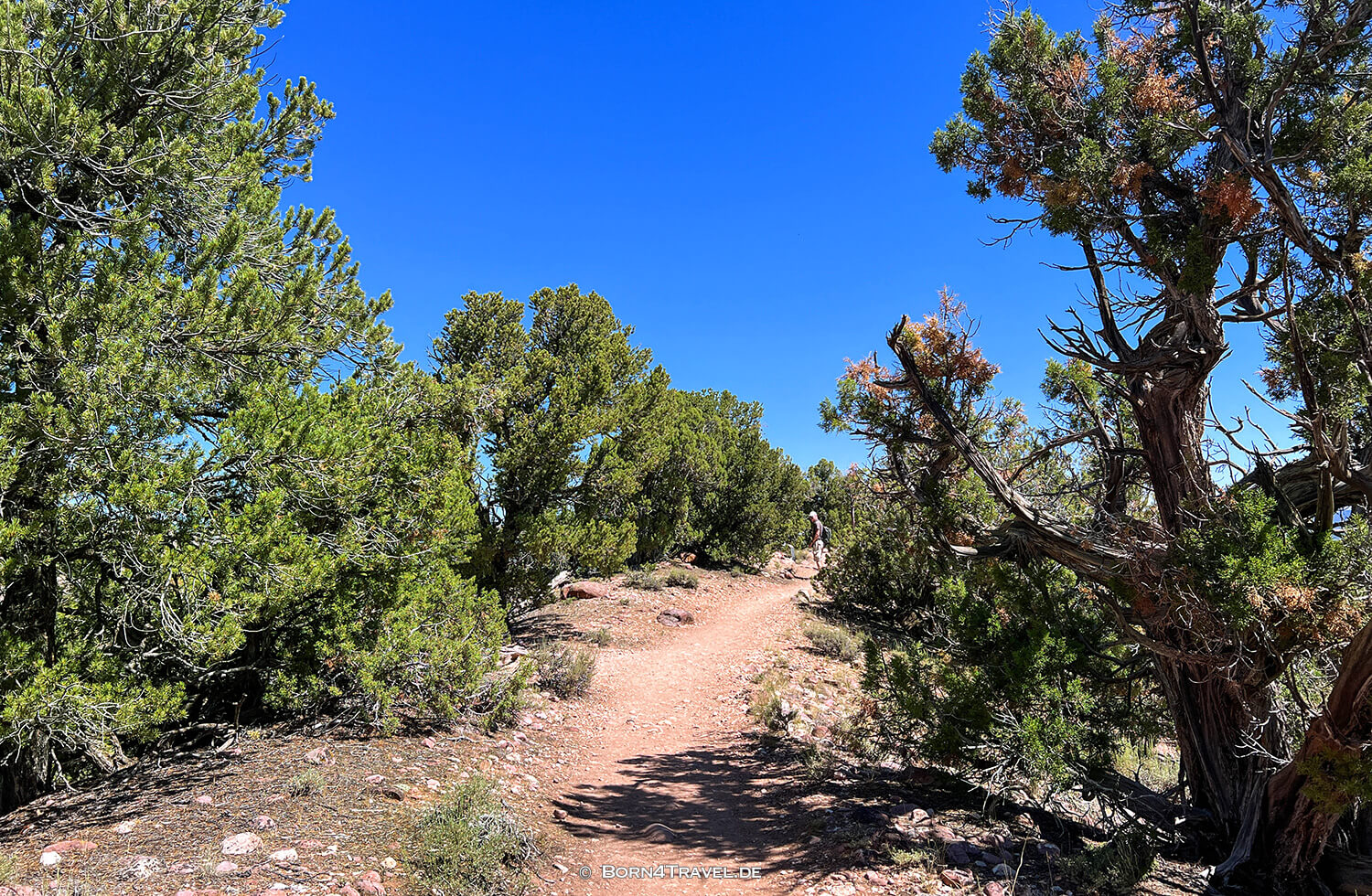 Harpers Corner Trail,Dinosaur NM,Colorado 2022,born4travel.de Harpers Corner Trail,Dinosaur NM,Colorado 2022,born4travel.de
