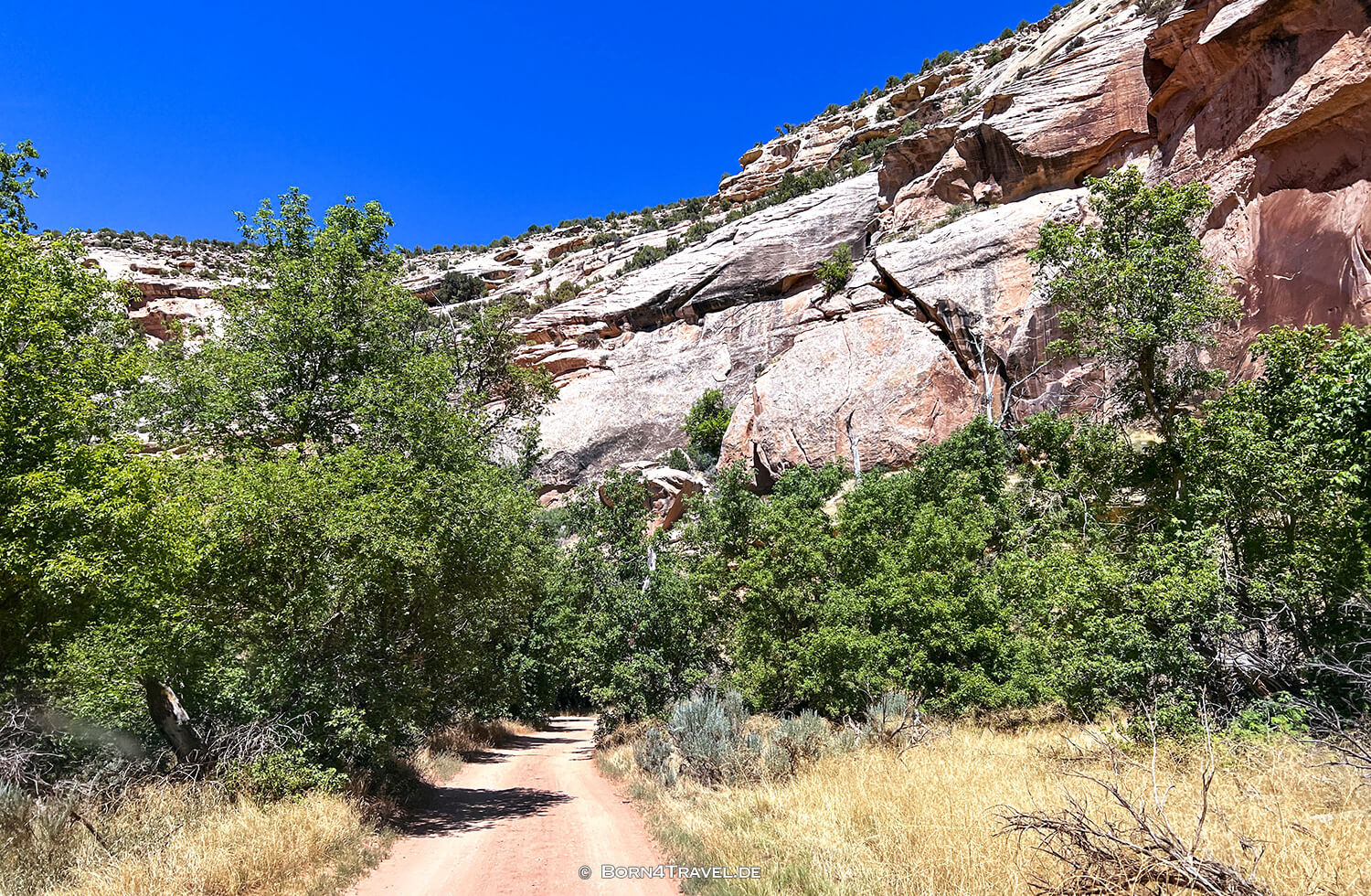 Dinosaur NM,Colorado 2022,born4travel.de Dinosaur NM,Colorado 2022,born4travel.de