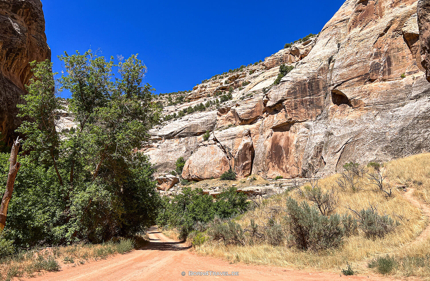Dinosaur NM,Colorado 2022,born4travel.de Dinosaur NM,Colorado 2022,born4travel.de