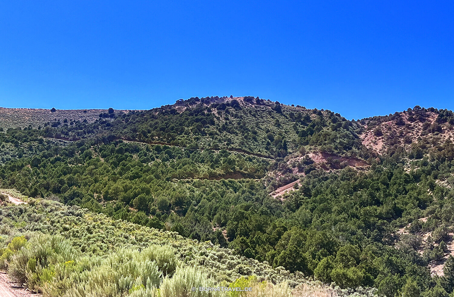 Dinosaur NM,Colorado 2022,born4travel.de Dinosaur NM,Colorado 2022,born4travel.de