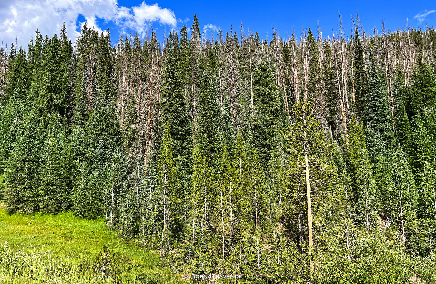 CO-14,Walden to Red Feather Lakes,Colorado 2022,born4travel.de