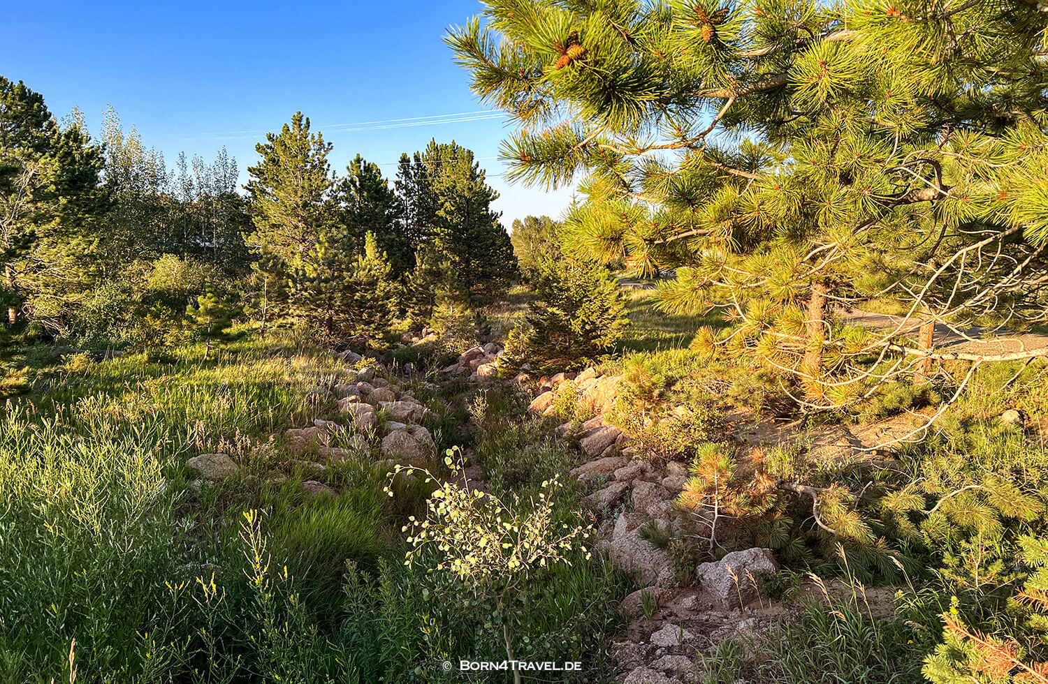 Red Feather Lakes,Colorado 2022,born4travel.de