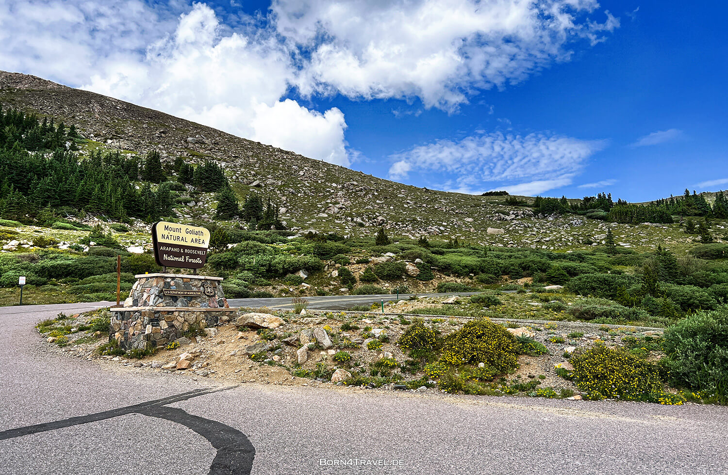 Mount Goliath Natural Area,Fahrt zum Mt. Evans,Colorado 2022,born4travel.de