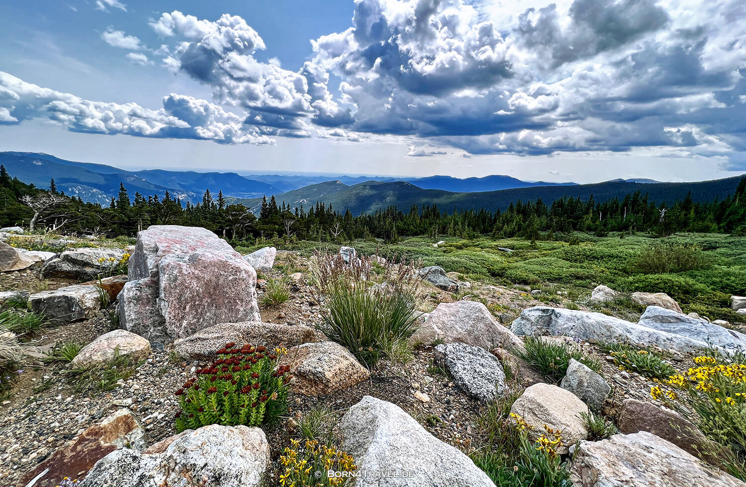 Mount Goliath Natural Area,Fahrt zum Mt. Evans,Colorado 2022,born4travel.de