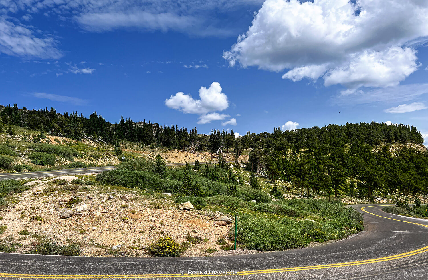 Mount Goliath Natural Area,Fahrt zum Mt. Evans,Colorado 2022,born4travel.de