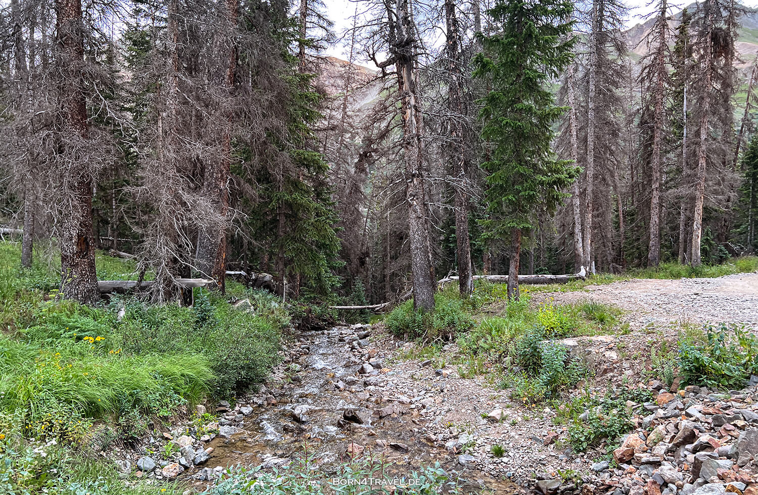 Cinnamon Pass zwischen Lake Cristobal und Silverton,Colorado 2022,born4travel.de