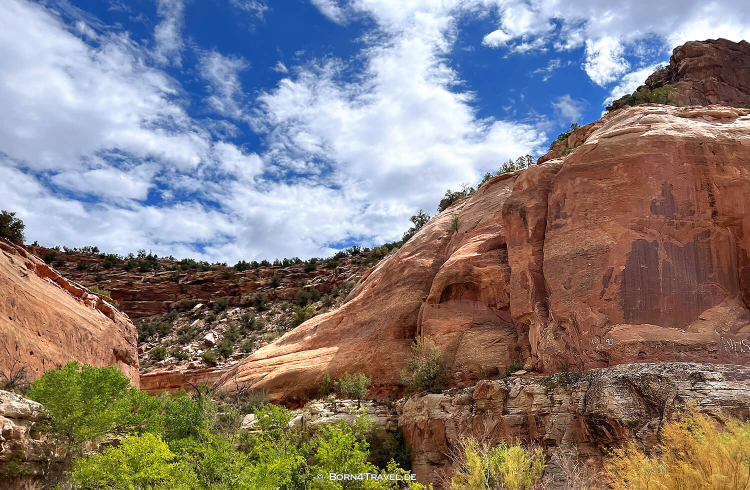 Unaweep Tabeguache Scenic Byway,US 141,Colorado 2022,born4travel.de