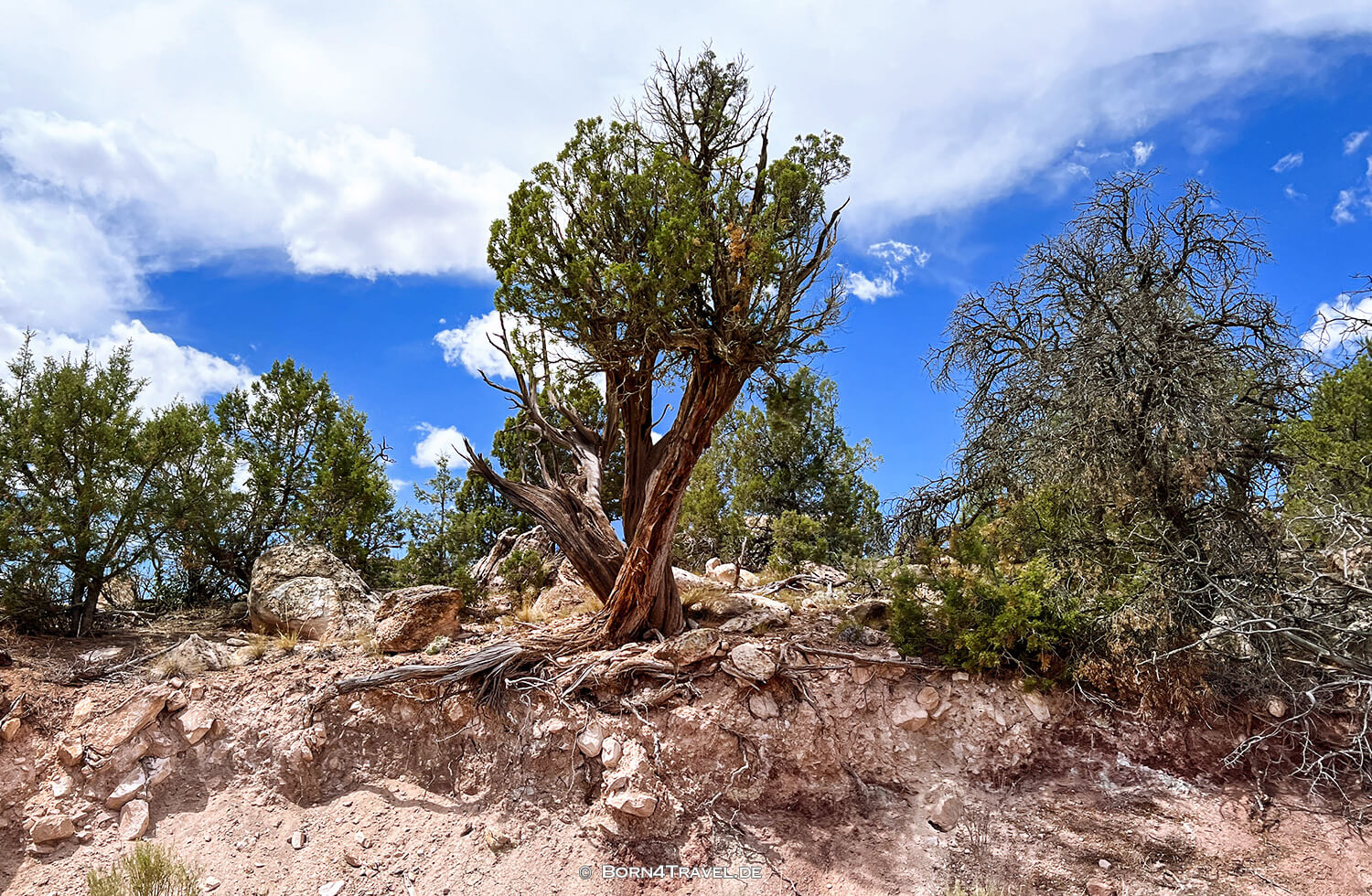 Unaweep Tabeguache Scenic Byway,US 141,Colorado 2022,born4travel.de